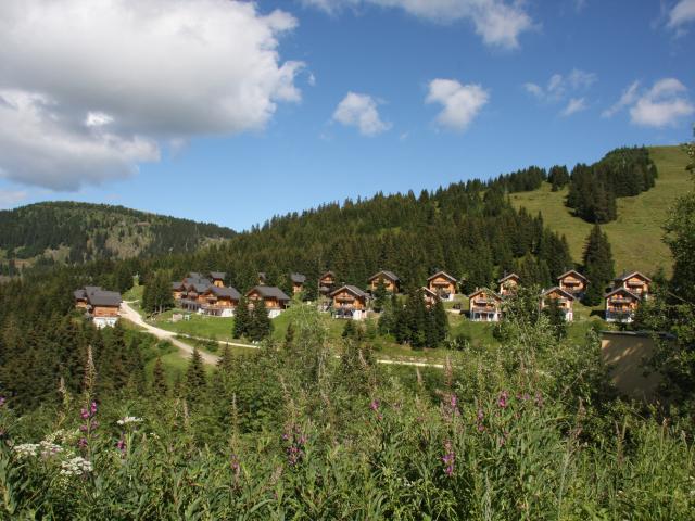 Immediate Surroundings [summer] (<1 km)