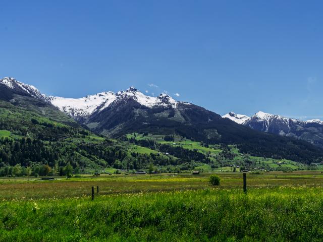 Aussicht vom Ferienhaus [Sommer]