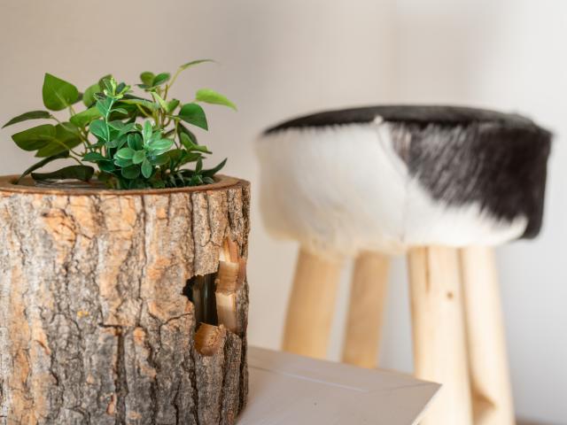 Ambiance / plan rapproché