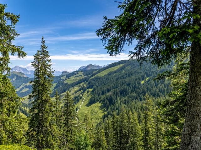 In der Region [Sommer] (>5 km)