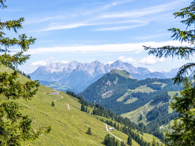 In der Region [Sommer] (>5 km)