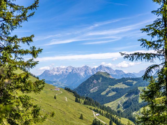 In der Region (>5 km)