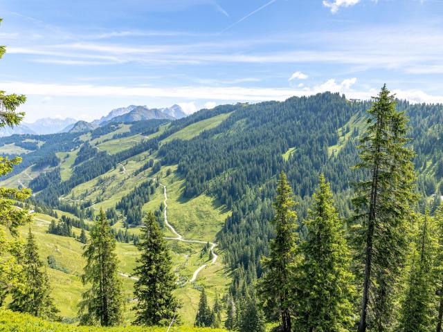 In der Region (>5 km)