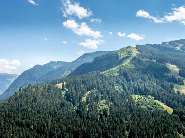 In der Region (>5 km)