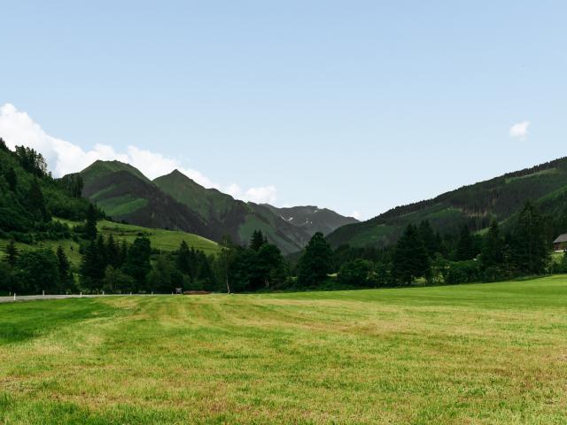 Surroundings (1-5 km)