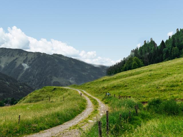 Surroundings (1-5 km)