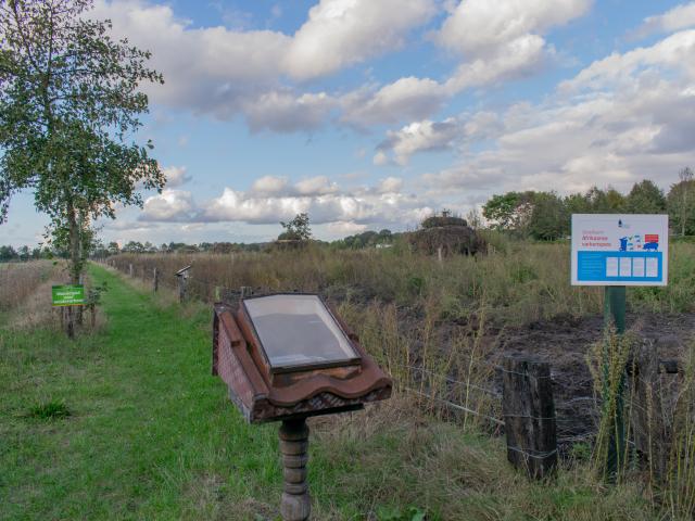 Surroundings [summer] (1-5 km)