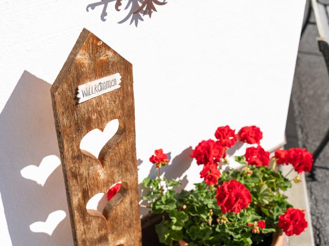 Ambiance / plan rapproché