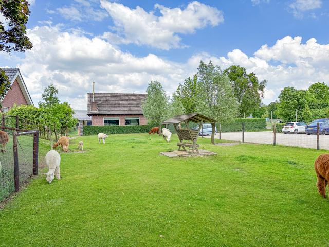 Außenseite Ferienhaus [Sommer]