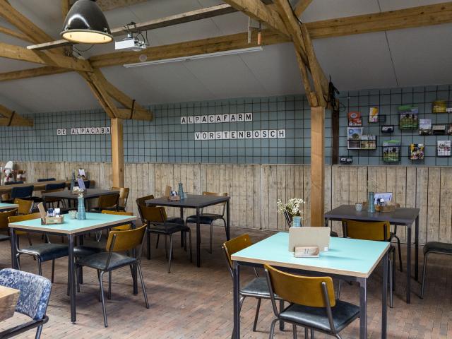 Ausstattung und Service des Ferienparks