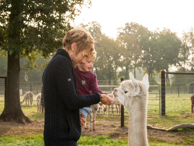 Ambiente / Nahaufnahme