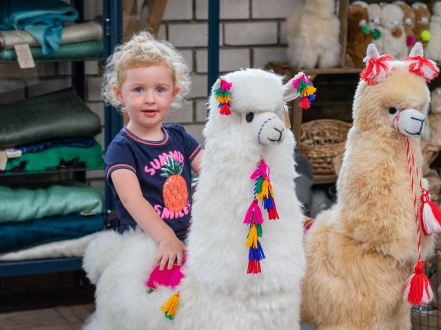 Ambiente / Nahaufnahme