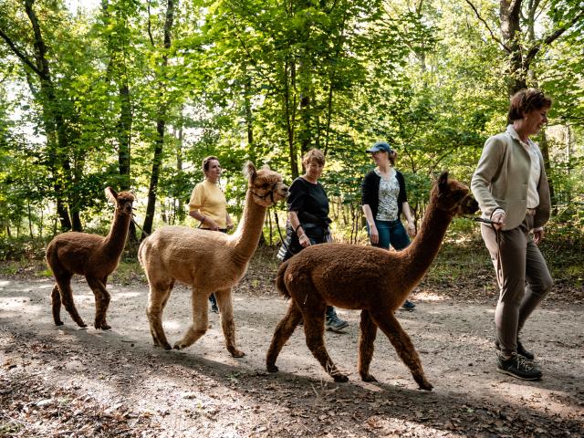 Ambiente / Nahaufnahme