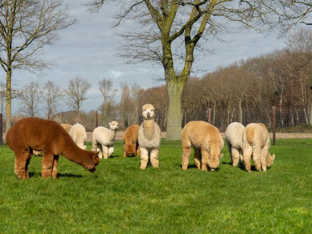 Aussicht vom Ferienhaus [Sommer]