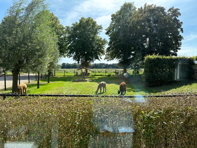 Aussicht vom Ferienhaus [Sommer]