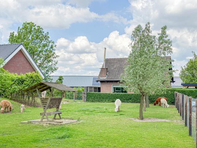 Außenseite Ferienhaus [Sommer]