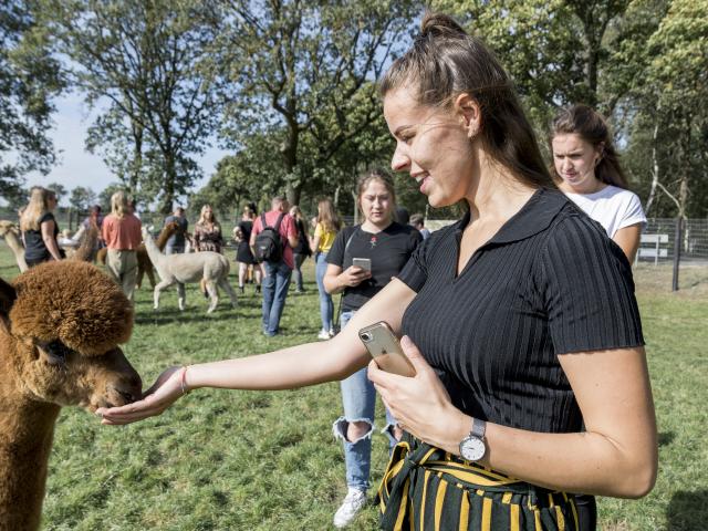 Ambiente / Nahaufnahme