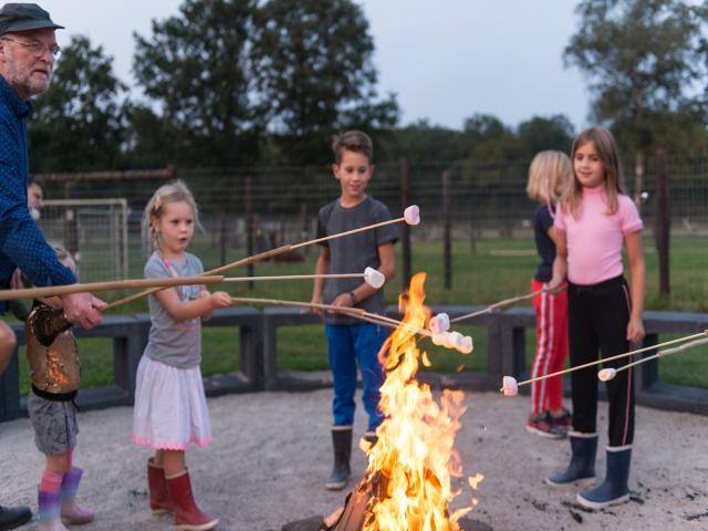 Ambiente / Nahaufnahme