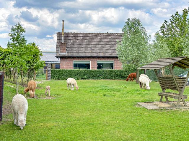 Außenseite Ferienhaus [Sommer]