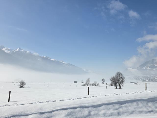 Directe omgeving (<1 km)