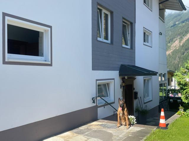 Entrance / Reception