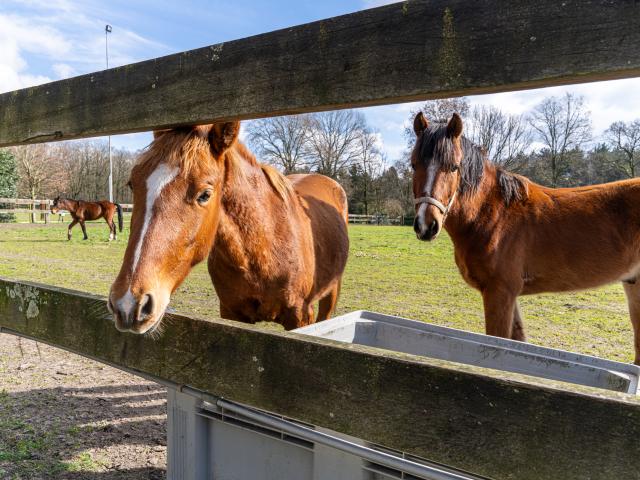 Direkte Umgebung (<1 km)