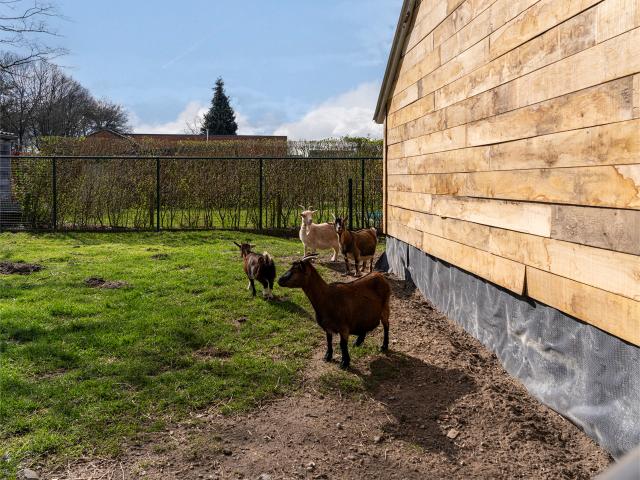 Direkte Umgebung (<1 km)