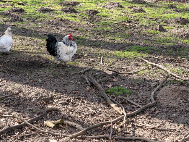 Direkte Umgebung (<1 km)