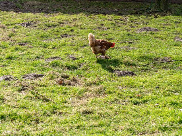 Direkte Umgebung (<1 km)