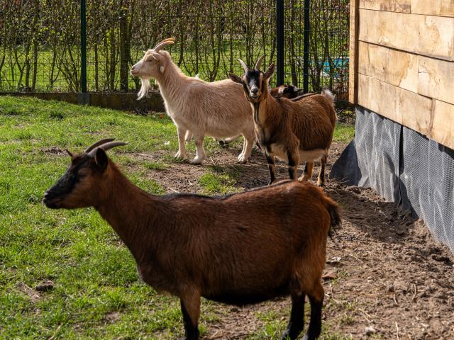 Direkte Umgebung [Sommer] (<1 km)