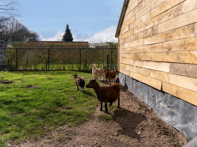 Direkte Umgebung (<1 km)