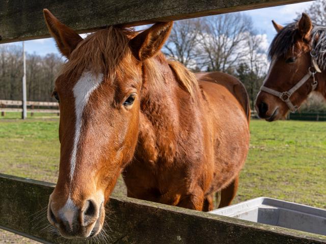 Direkte Umgebung (<1 km)