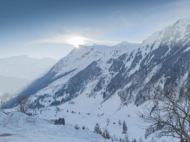 In der Region (>5 km)