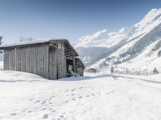 In der Region (>5 km)