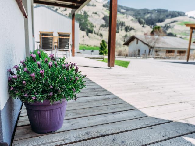 Ambiance / plan rapproché