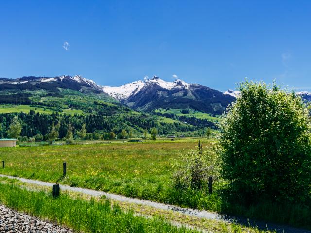 Directe omgeving (<1 km)