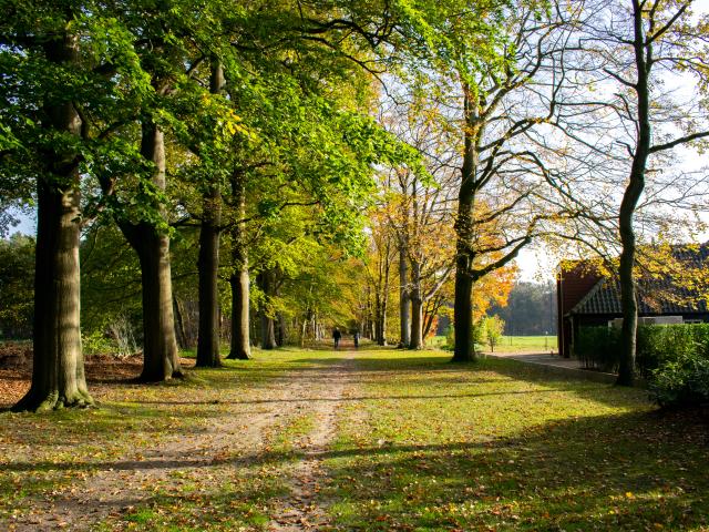 Immediate Surroundings (<1 km)