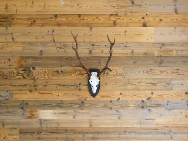 Ambiente / Nahaufnahme