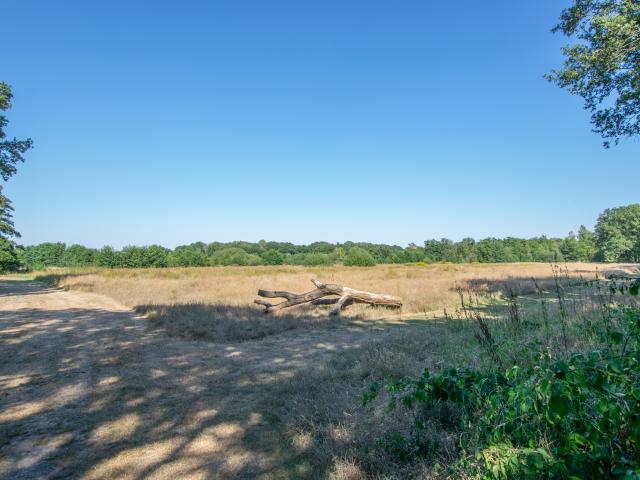 Umgebung [Sommer] (1-5 km)