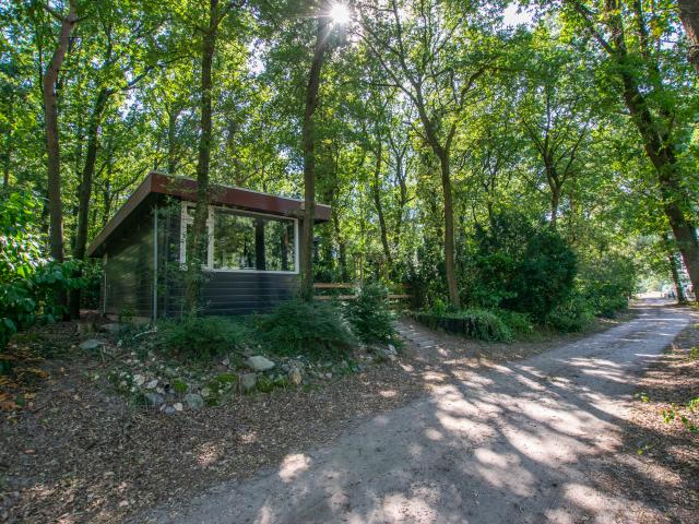 Direkte Umgebung [Sommer] (<1 km)