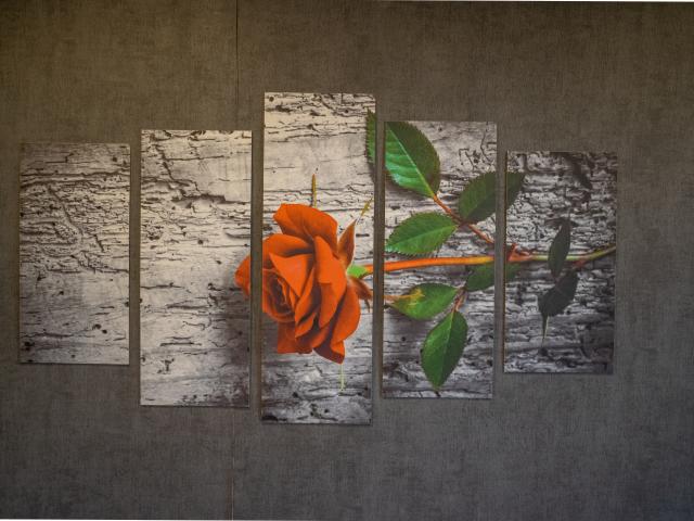 Ambiente / Nahaufnahme