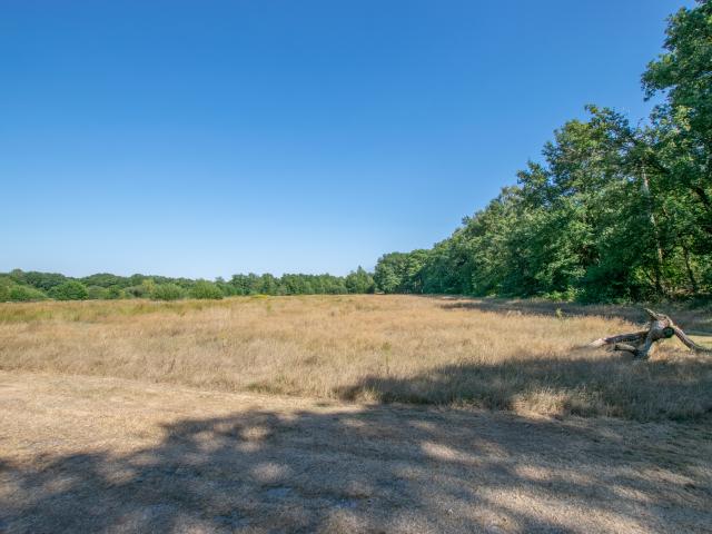 Umgebung [Sommer] (1-5 km)