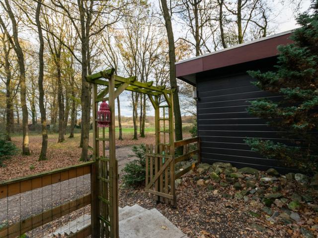 Aussicht vom Ferienhaus [Sommer]