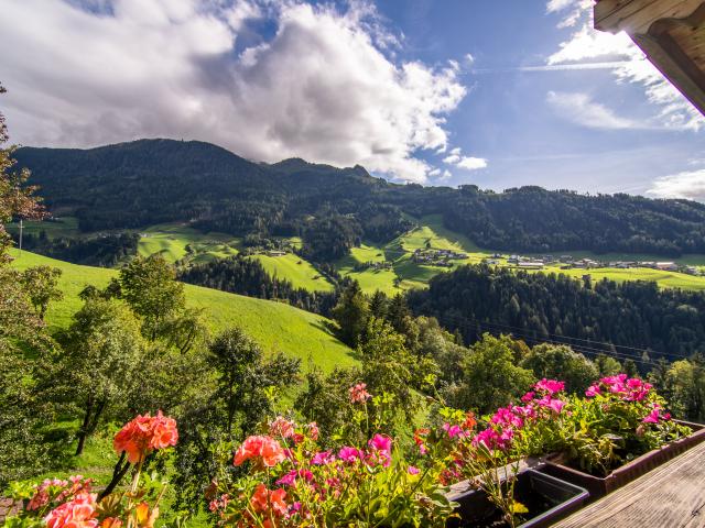 View from Holiday Home [summer]