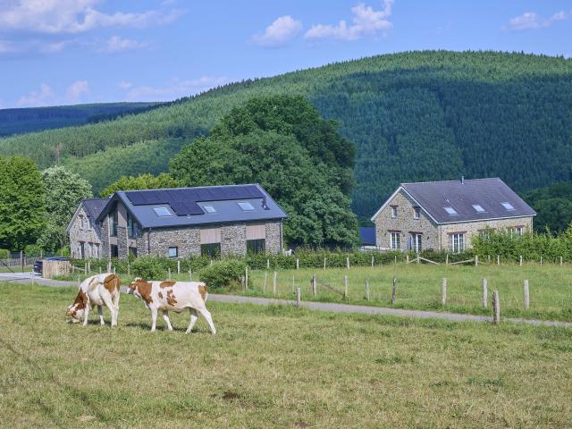 Immediate Surroundings (<1 km)