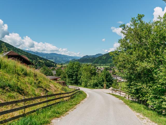 Immediate Surroundings [summer] (<1 km)