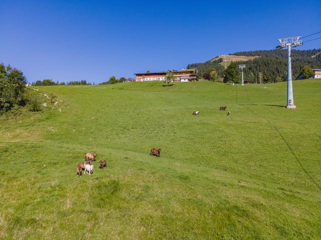 Holiday Home Exterior