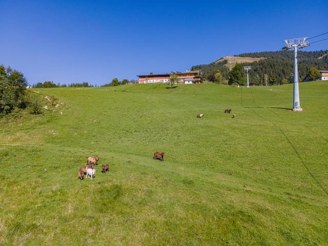 Extérieur maison de vacances