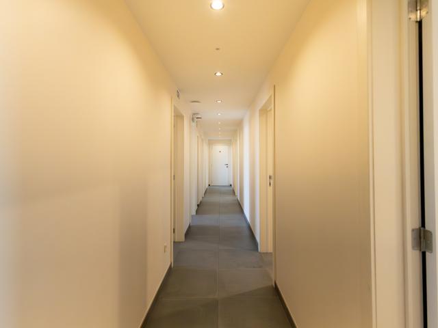 Entrance / Reception