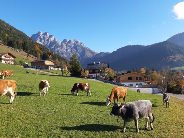 Direkte Umgebung (<1 km)